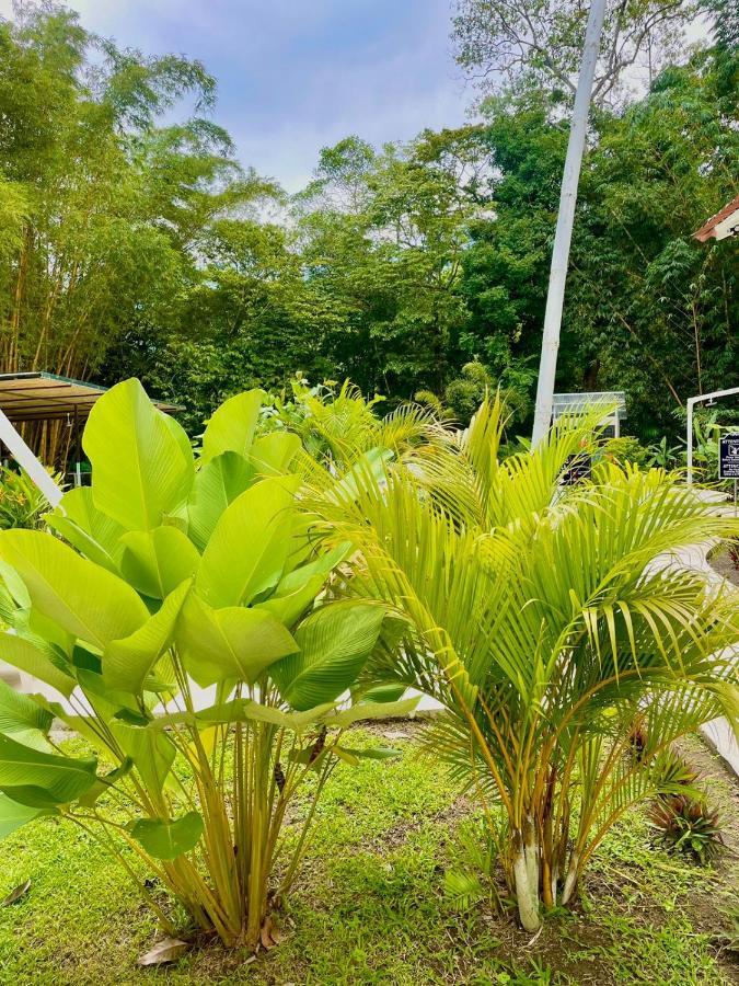 Grand Park Manuel Antonio Hotel Quepos Buitenkant foto